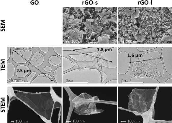 Graphene oxide and rGO microparticles not toxic to mouse lung cells