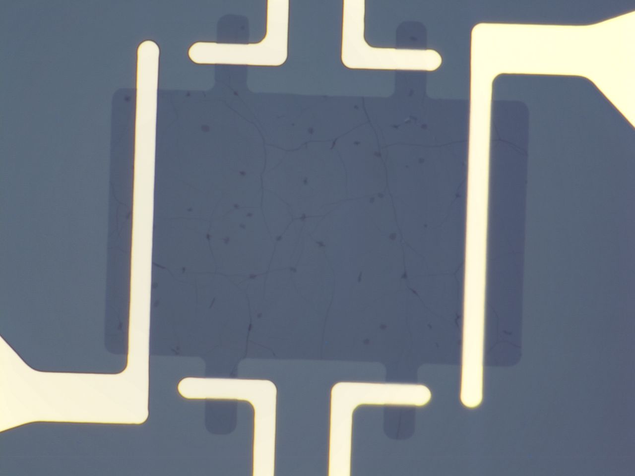 Graphene GFET-S10 for Sensing applications – Graphenea