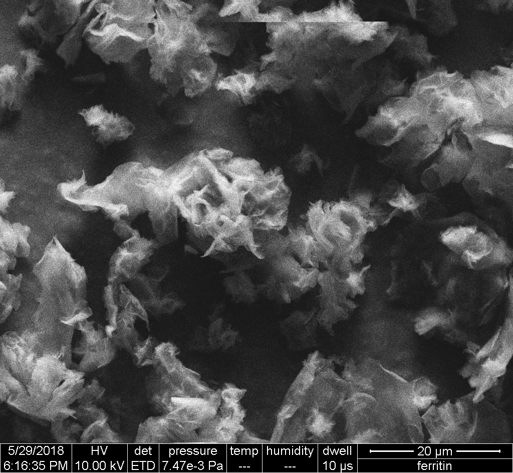 Amine Functionalized Graphene Oxide Powder – Graphenea