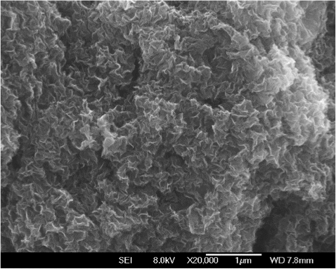 Reduced Graphene Oxide Powder – Graphenea
