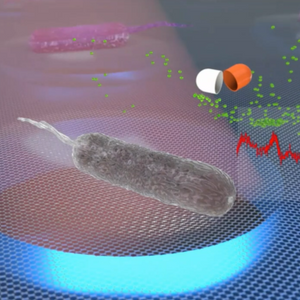 Fast Graphs: Fast Antibiotic Susceptibility Testing with Graphene Sensors