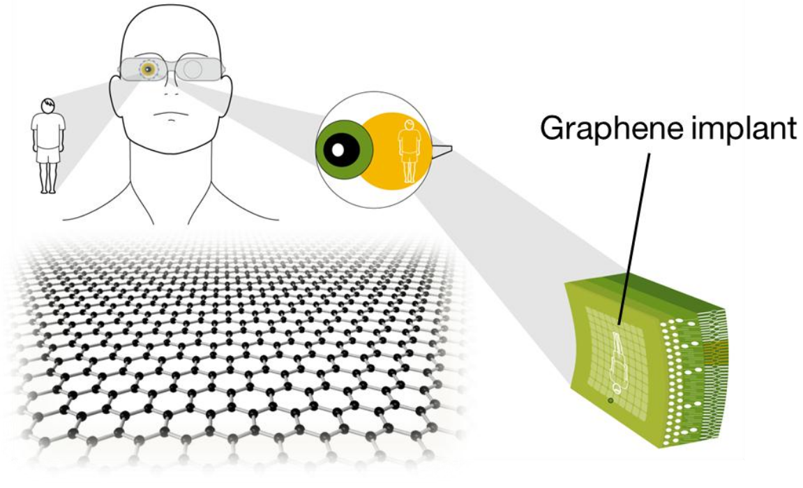 Graphene bioelectronics