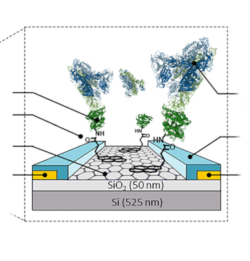 Ultrasensitive detection of SARS-CoV-2 with graphene sensor – Graphenea