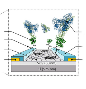 Ultrasensitive detection of SARS-CoV-2 with graphene sensor