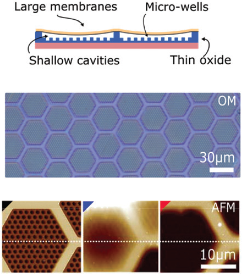 Graphene/polymer pressure sensors compete with existing technology