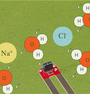 Graphene transistors enable selective ion sensing