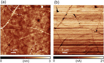 Graphene wrinkles weakest point