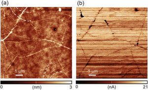 Graphene wrinkles weakest point