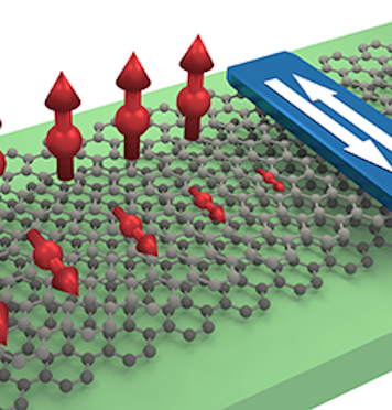 Graphene spin communication reaches unprecedented lengths