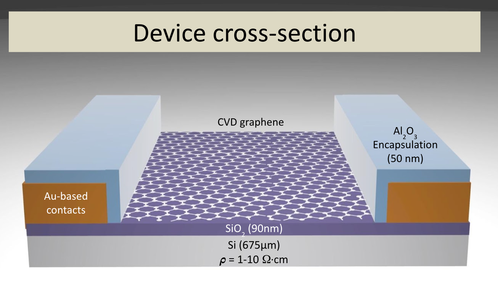 GFET-S22 for Sensing applications