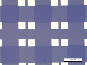 GFET-S11 for Sensing applications