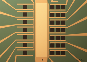 mGFET-4P for Sensing applications