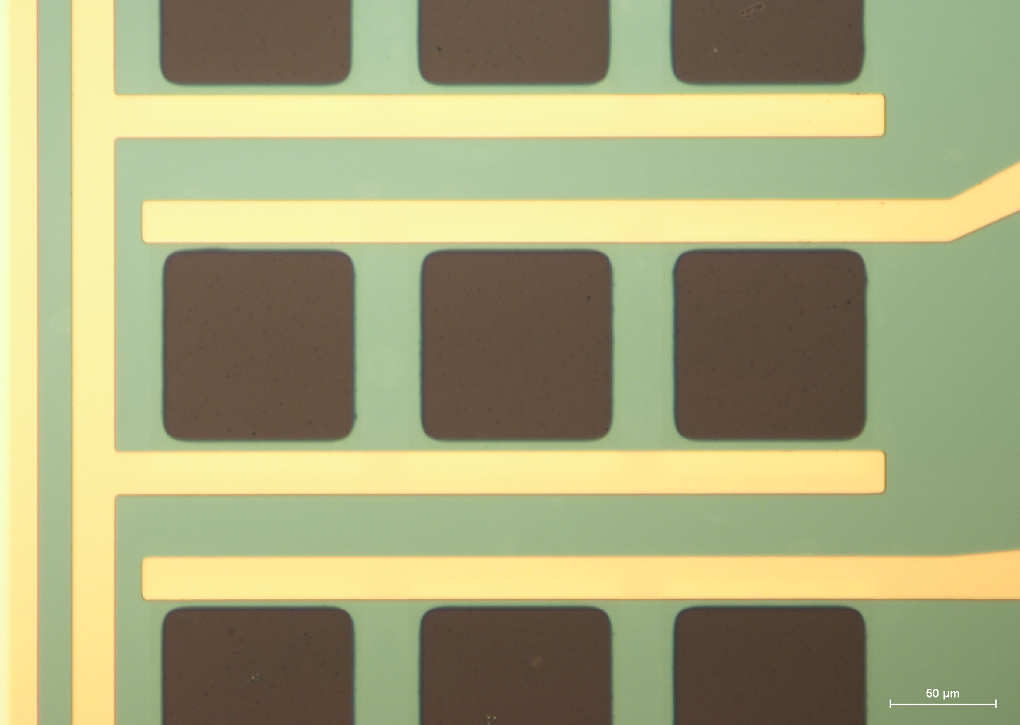 mGFET-4P for Sensing applications