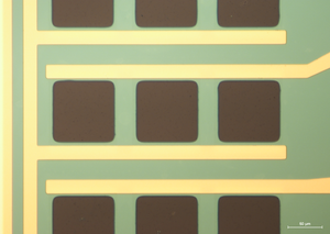 mGFET-4P for Sensing applications