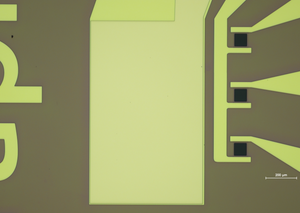 GFET-S22P for Sensing applications