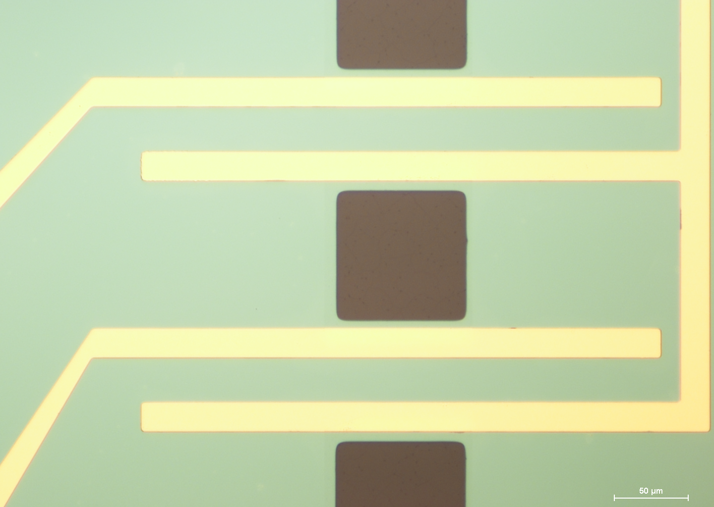 mGFET-4P for Sensing applications