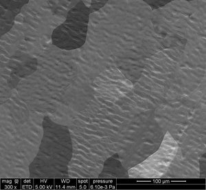 Monolayer Graphene on Cu