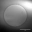 Suspended Graphene on TEM Grids (Quantifoil Gold)