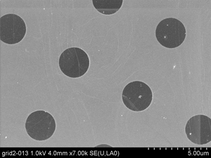 Suspended Graphene on TEM Grids (Quantifoil Gold)