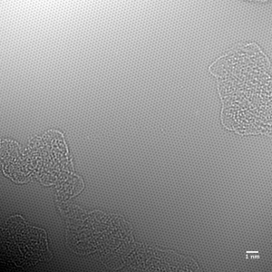 Monolayer Graphene on PET