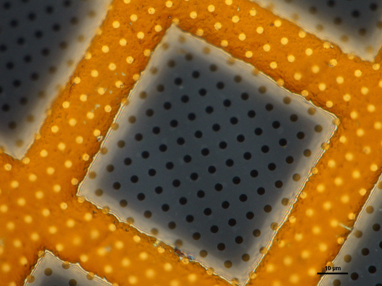 Suspended Graphene on TEM Grids (Quantifoil Gold)