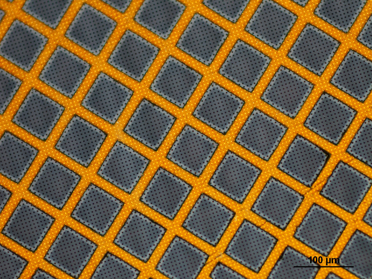 Suspended Graphene on TEM Grids (Quantifoil Gold)