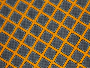Suspended Graphene on TEM Grids (Quantifoil Gold)