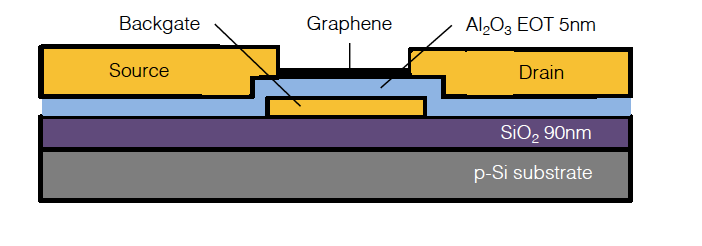 GFET-S30 for Sensing applications
