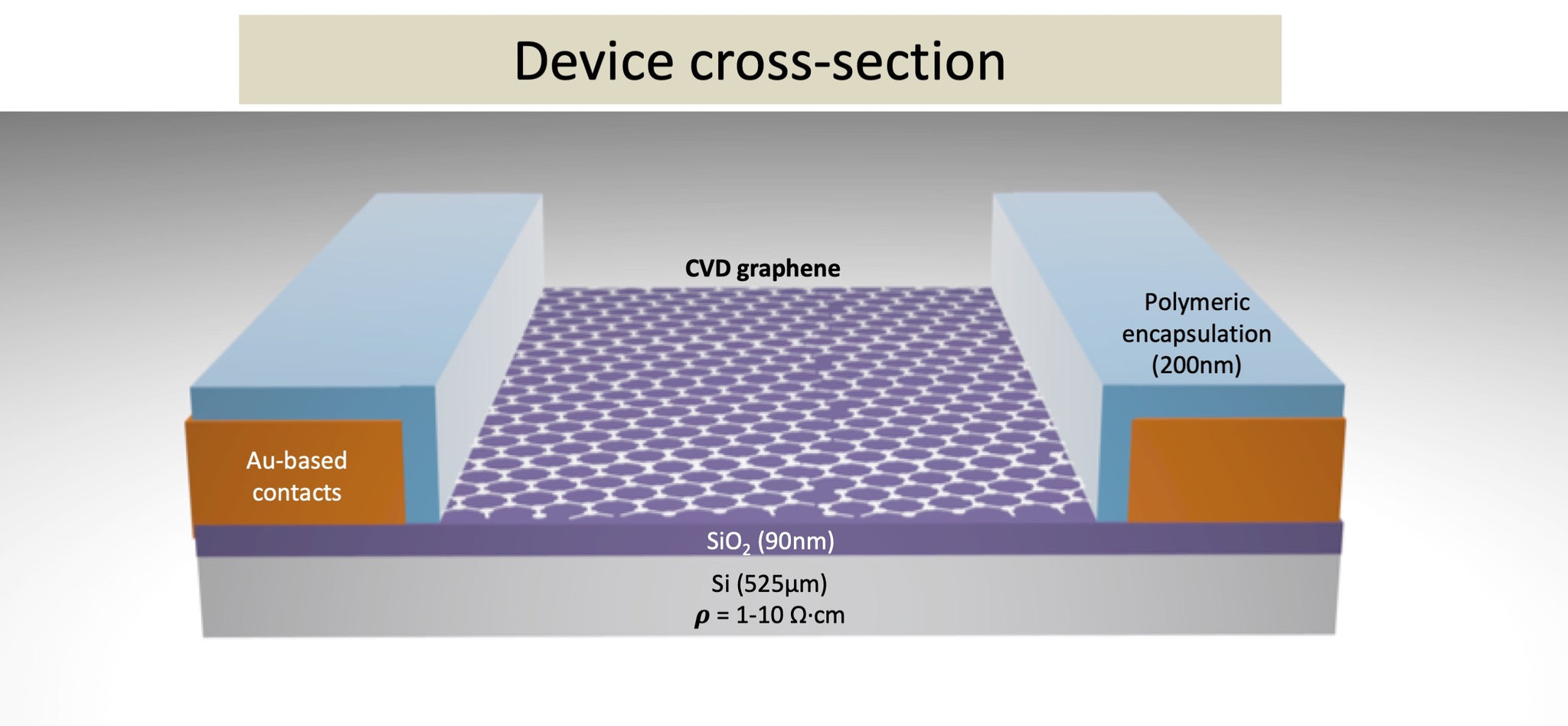 GFET-S22P for Sensing applications